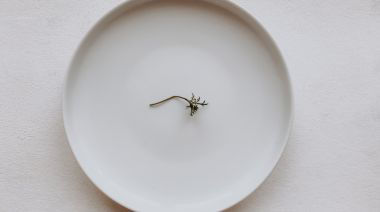 plating-instructions-image